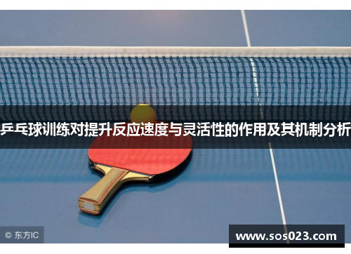 乒乓球训练对提升反应速度与灵活性的作用及其机制分析