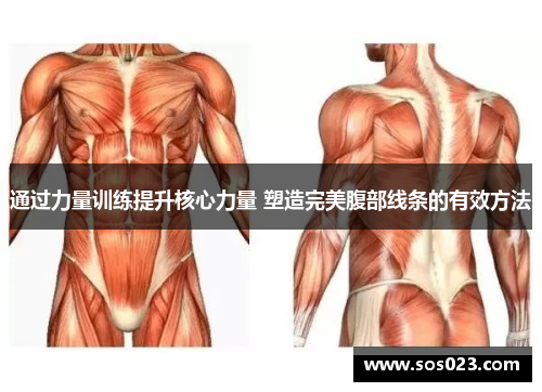 通过力量训练提升核心力量 塑造完美腹部线条的有效方法